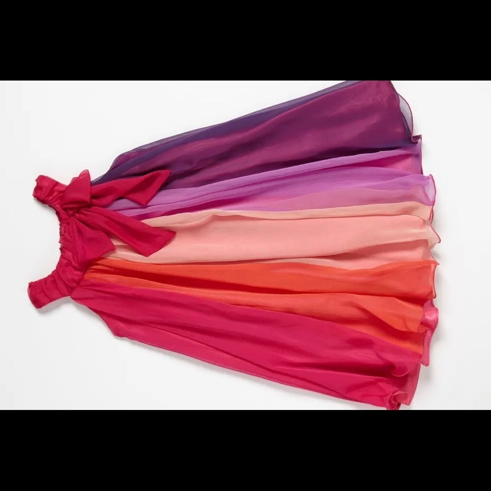 IRIS & IVY Chiffon Dress - Picture 4 of 8